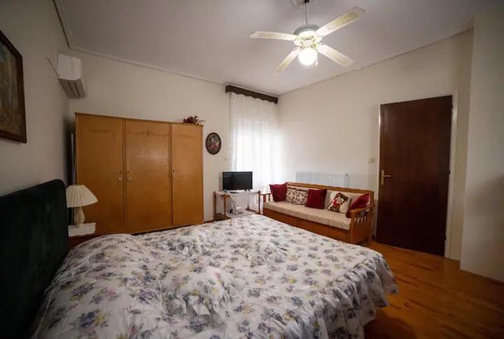 Loft House Trikala Appartement Buitenkant foto